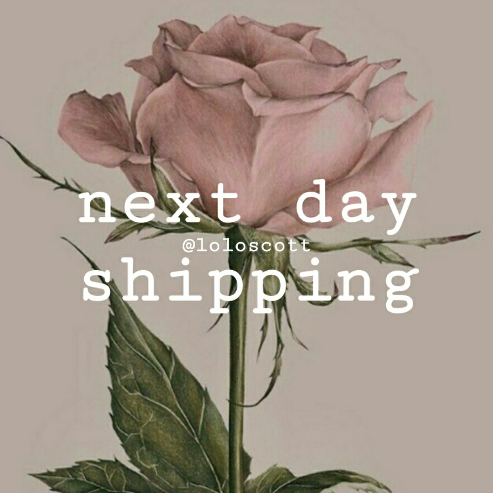 Excludes Holidays and Sundays
